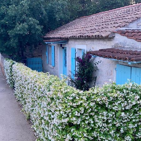 Vila Majda Tar-Vabriga エクステリア 写真