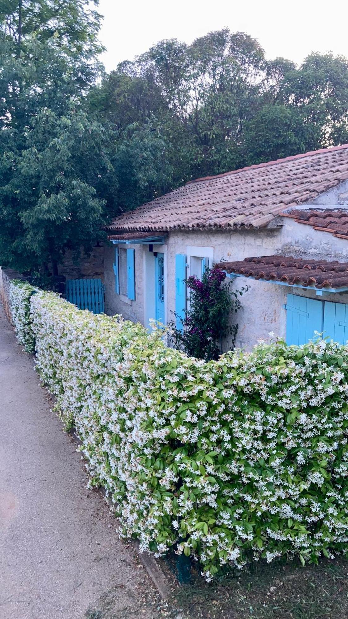 Vila Majda Tar-Vabriga エクステリア 写真